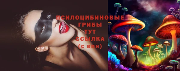 мет Аркадак