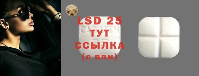 гидра Корсаков