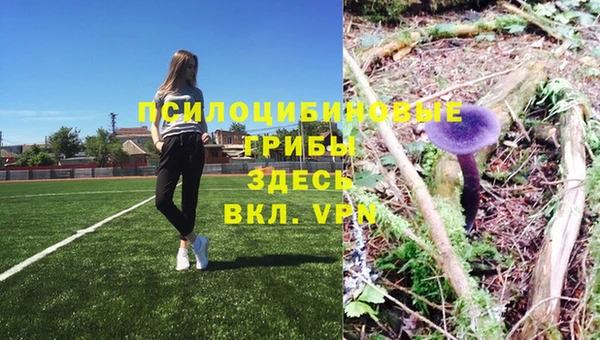 круглые Армянск
